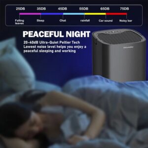 Quiet Portable Dehumidifier for Bedroom and Home 36W Small Electric Moisture Absorber Machine Air Dryer for Office and Kitchen