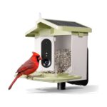 Smart Solar Bird Feeder with AI Camera, 1.5L Capacity, and Full Color Night Vision - Green